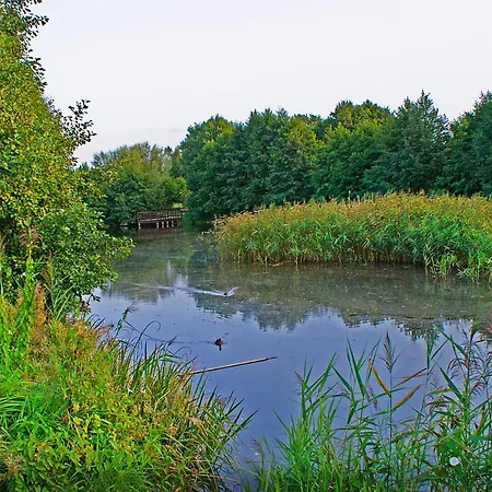 Irs Royal Irs Bursztynowa 公寓 *