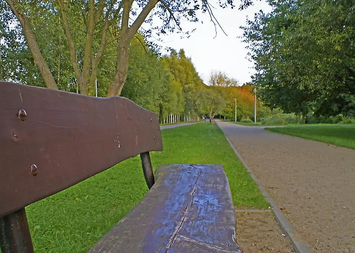 Irs Royal Irs Bursztynowa Gdańsk