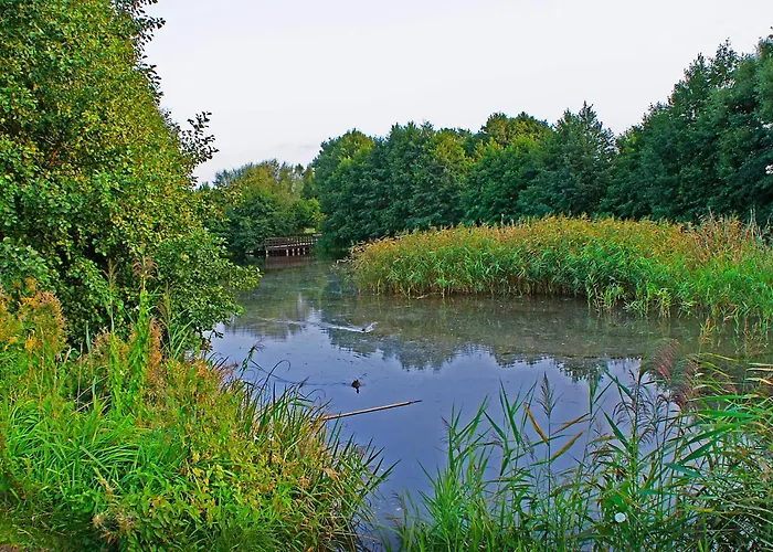 Irs Royal Irs Bursztynowa 公寓 *